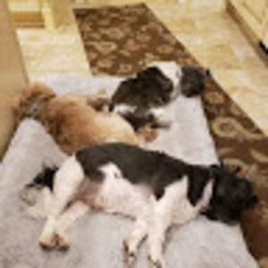 Meet your Posher, Casey